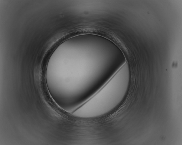X0000090410722200707130925