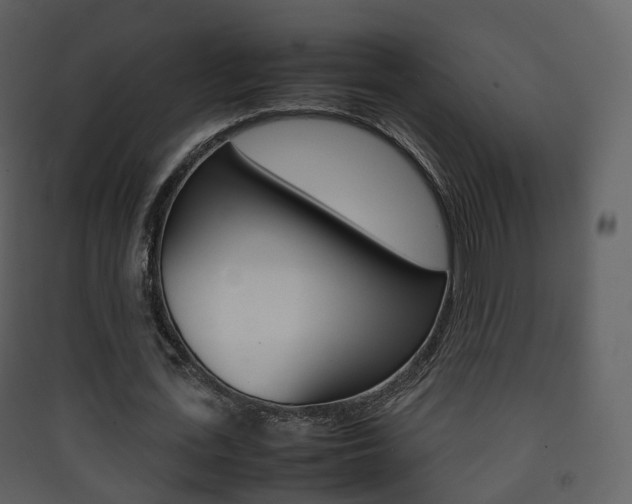 X0000090410723200707130925