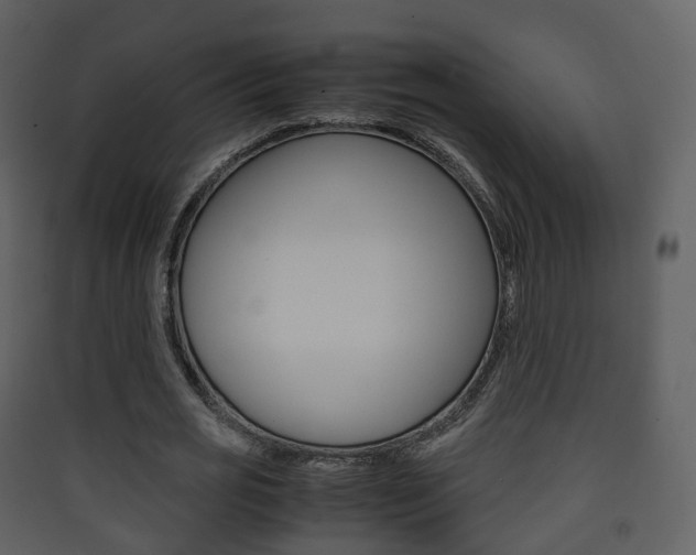 X0000090410725200707130925