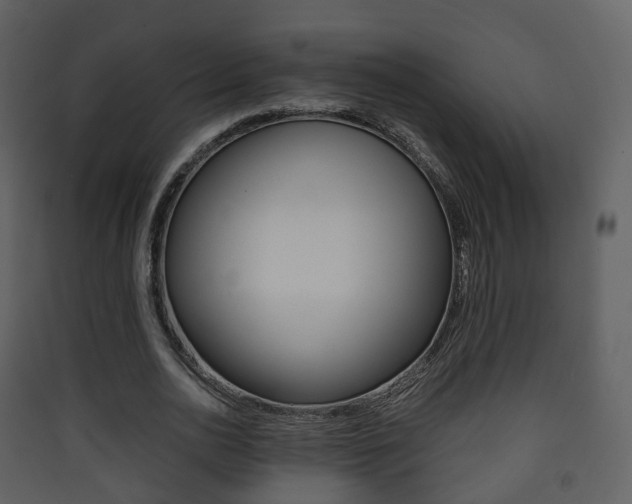 X0000090410726200707130925