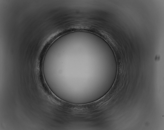 X0000090410727200707130925