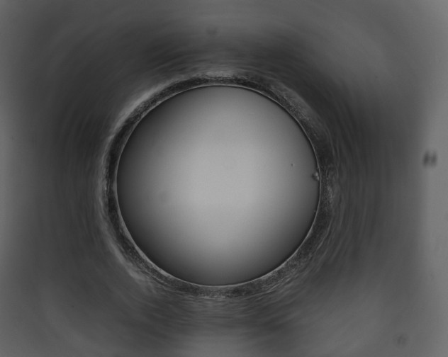 X0000090410728200707130925
