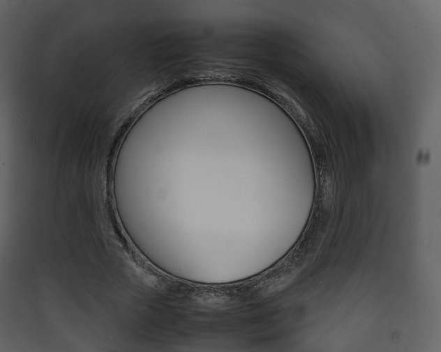 X0000090410729200707130925