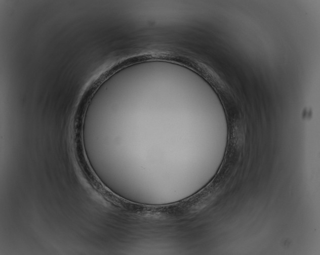 X0000090410730200707130925