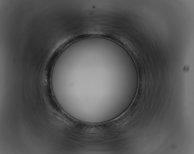 X0000090410731200707130925