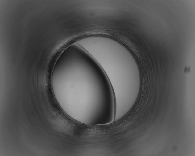 X0000090410732200707130925