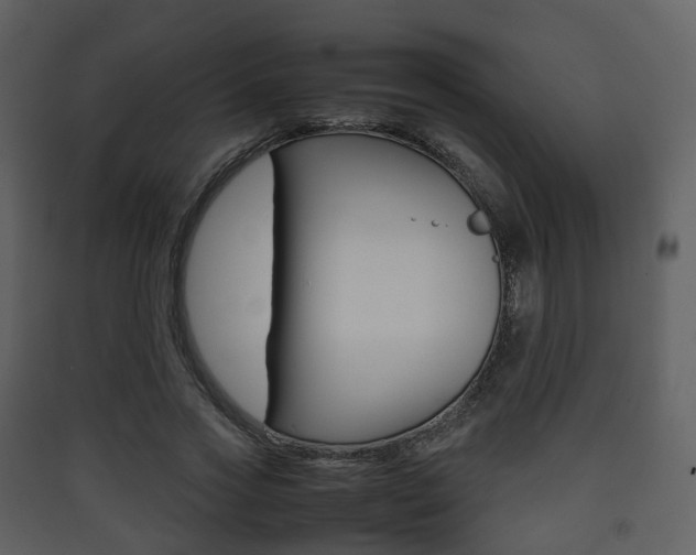 X0000090410733200707130925