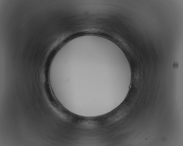 X0000090410734200707130925
