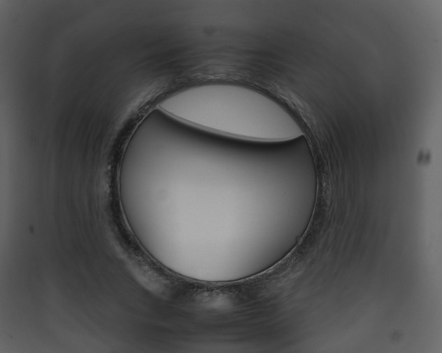 X0000090410735200707130925
