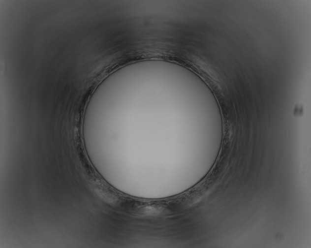 X0000090410737200707130925