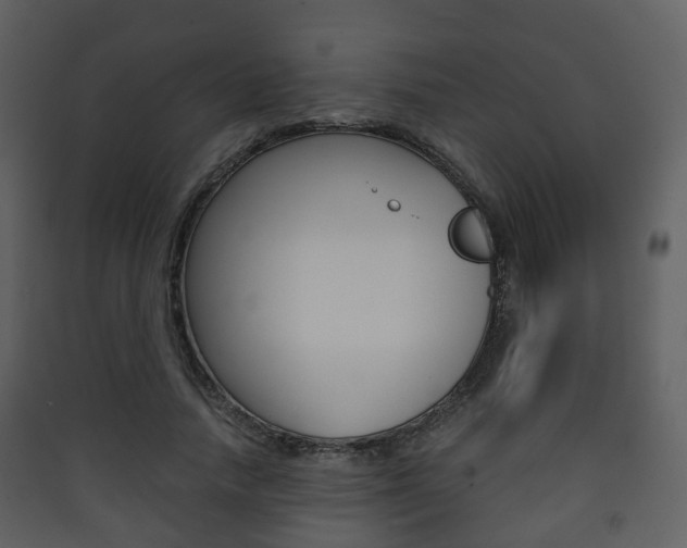 X0000090410738200707130925