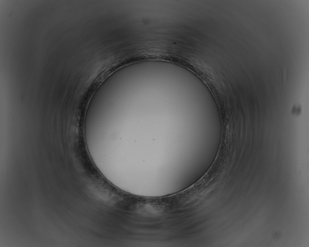 X0000090410739200707130925