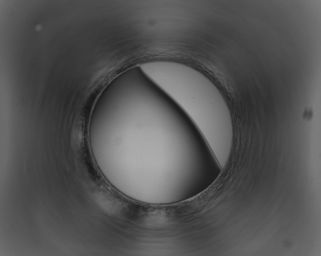 X0000090410740200707130925