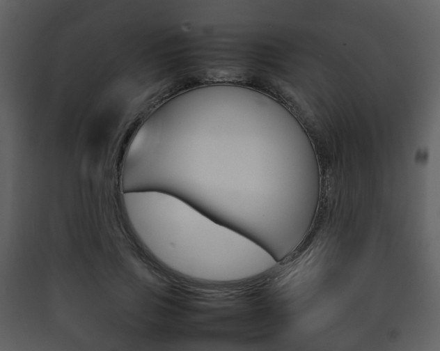 X0000090410741200707130925