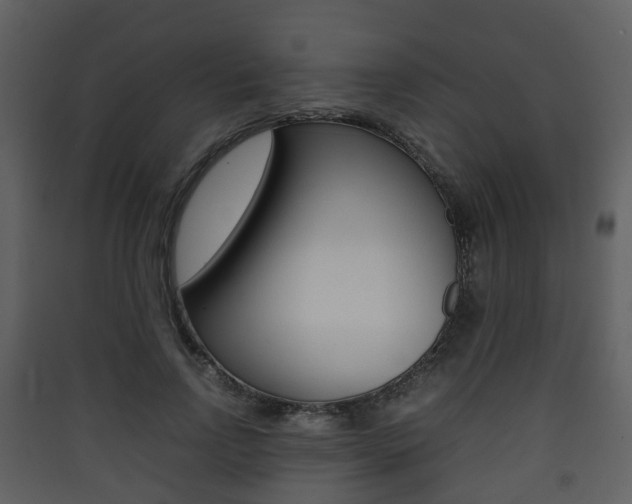 X0000090410742200707130925
