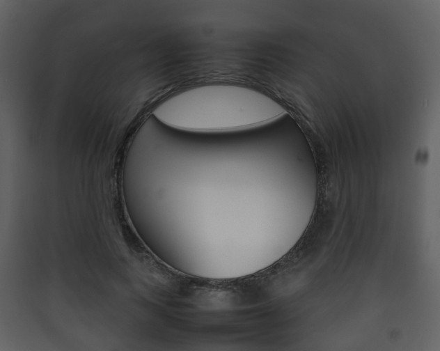X0000090410743200707130925