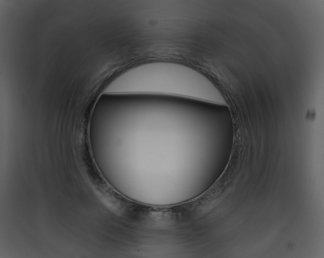 X0000090410744200707130925