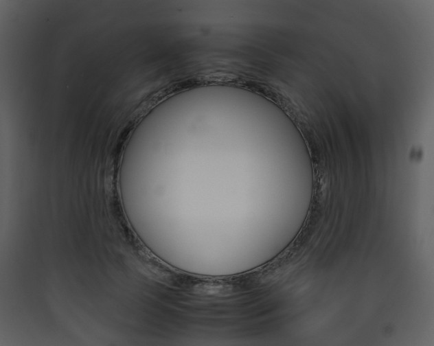 X0000090410745200707130925