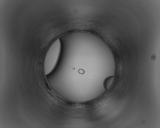 X0000090410746200707130925