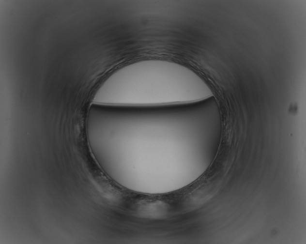 X0000090410747200707130925