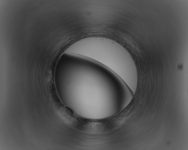 X0000090410748200707130925