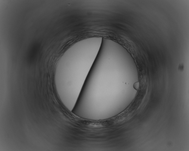 X0000090410749200707130925