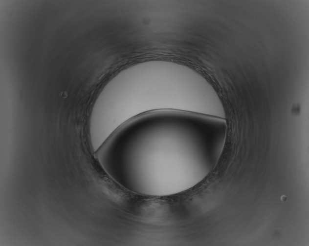 X0000090410750200707130925