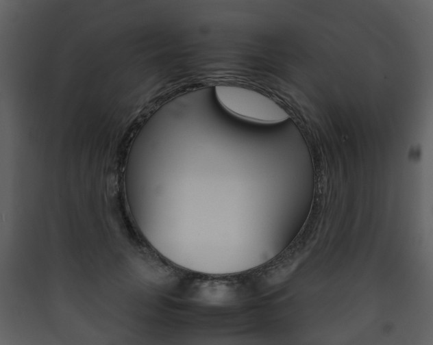 X0000090410751200707130925
