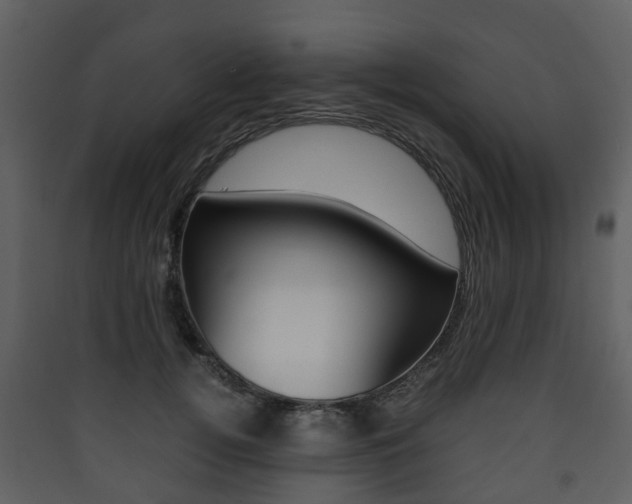 X0000090410752200707130925