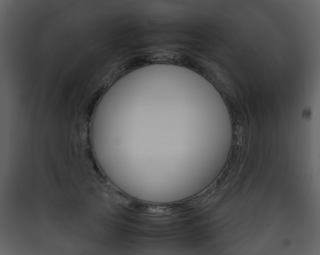 X0000090410753200707130925