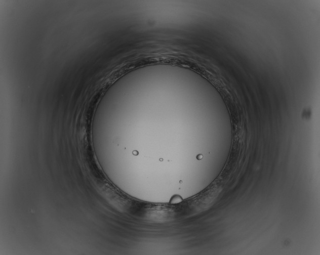 X0000090410754200707130925