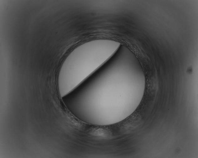 X0000090410755200707130925