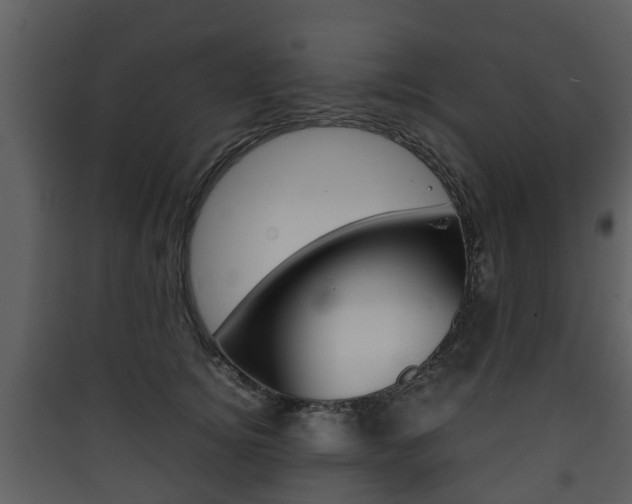 X0000090410756200707130925