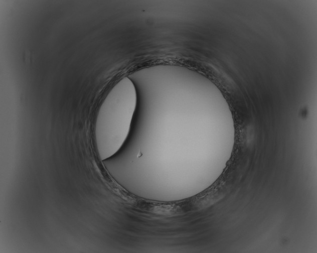 X0000090410757200707130925