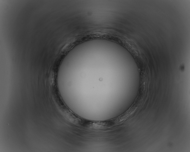 X0000090410758200707130925