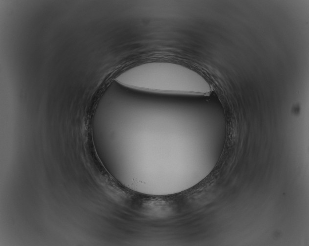 X0000090410759200707130925
