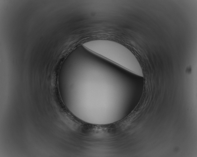X0000090410760200707130925