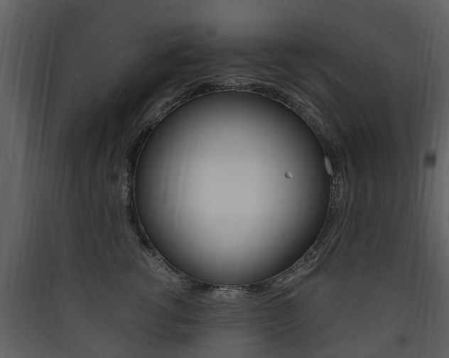 X0000090410762200707130925
