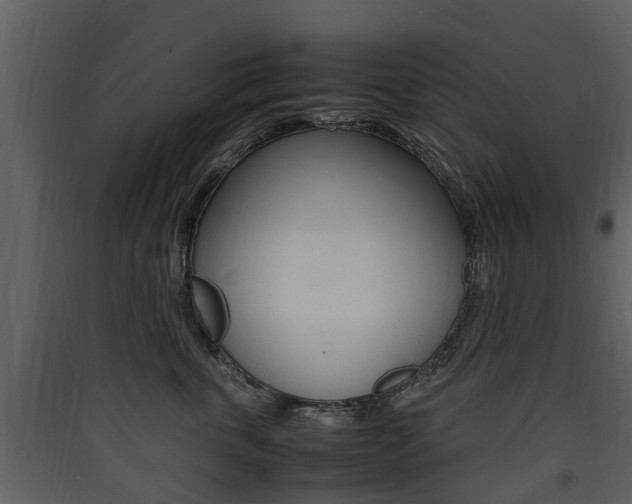 X0000090410763200707130925