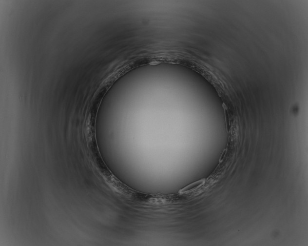 X0000090410764200707130925