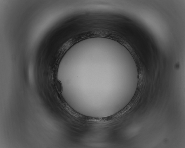 X0000090410765200707130925