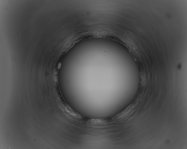 X0000090410766200707130925
