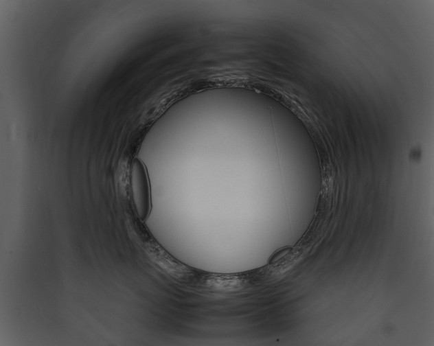 X0000090410767200707130925
