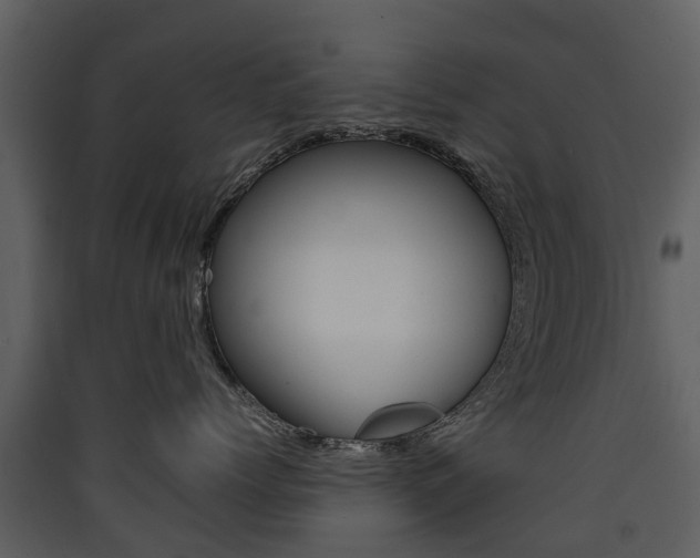 X0000090410768200707130925