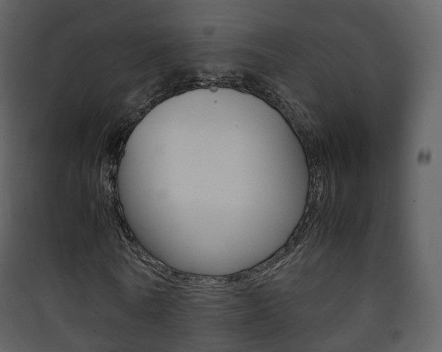 X0000090410770200707130924