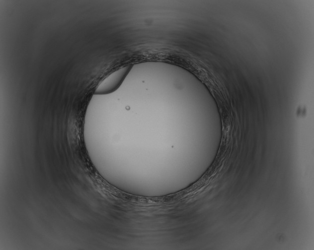 X0000090410772200707130924