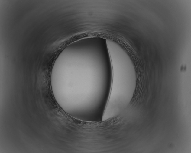 X0000090410773200707130924