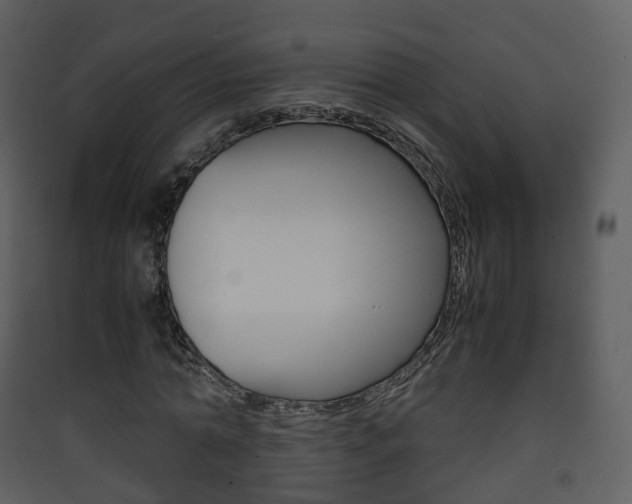 X0000090410774200707130924