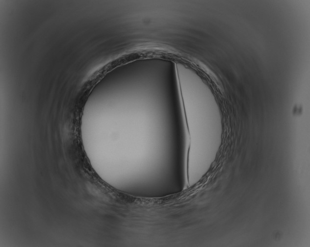 X0000090410775200707130924