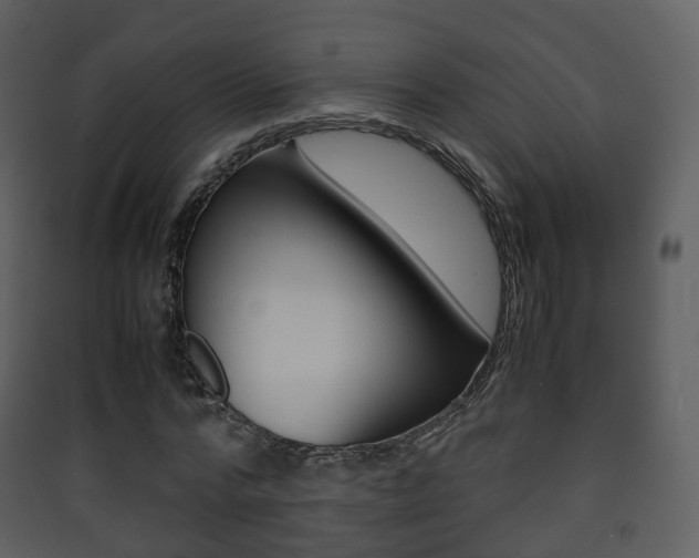 X0000090410776200707130924